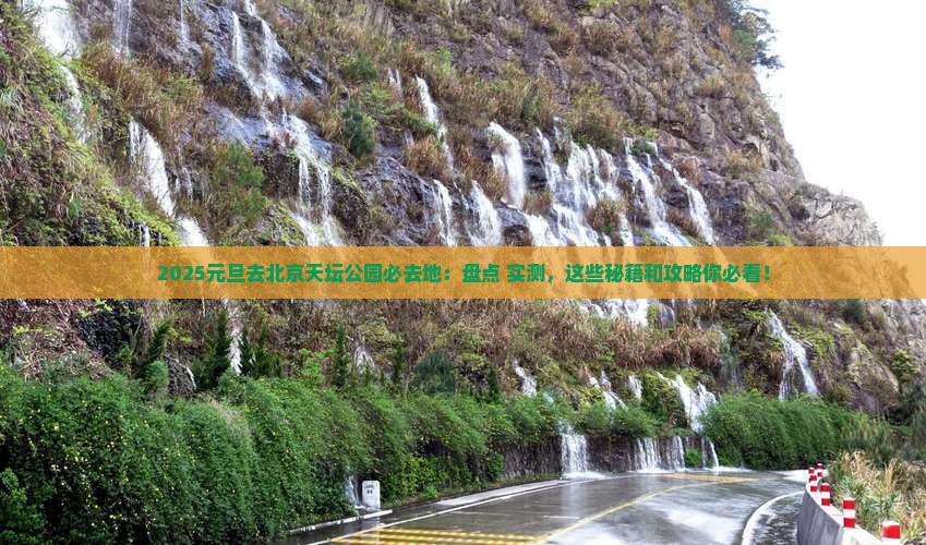 元旦去北京天坛公园必去地
