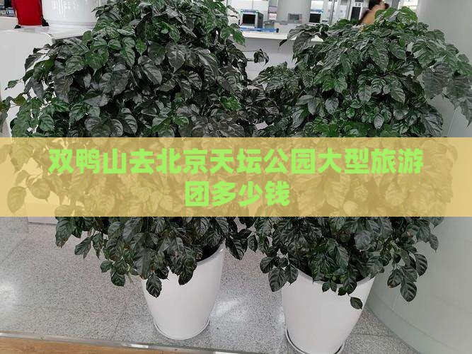 双鸭山去北京天坛公园大型旅游团