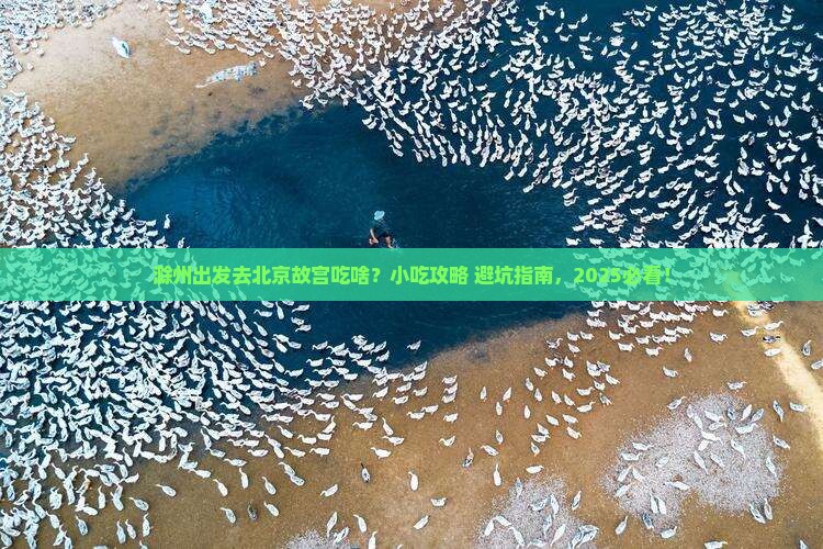 滁州去北京故宫博物院旅游小吃