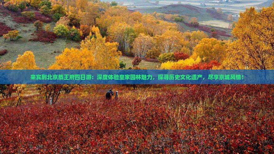 来宾到北京恭王府四日游