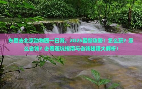 东营去北京动物园一日游