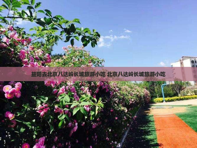 益阳去北京八达岭长城旅游小吃