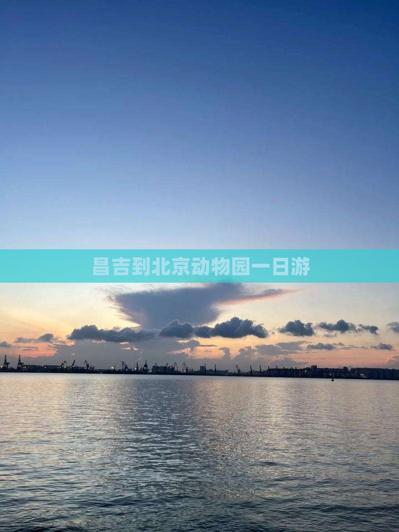 昌吉到北京动物园一日游