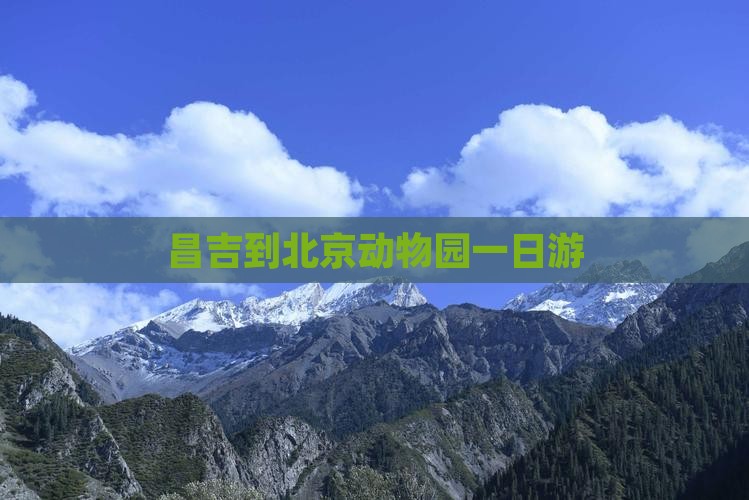 昌吉到北京动物园一日游