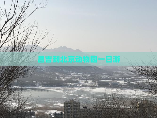 昌吉到北京动物园一日游