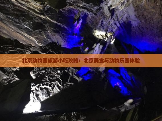 山南到北京动物园旅游小吃