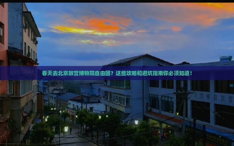 春天到北京故宫博物院自由团