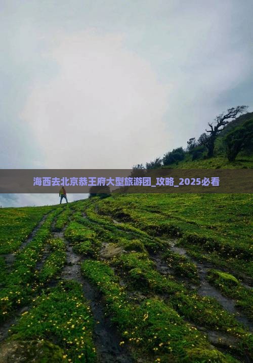 海西去北京恭王府大型旅游团