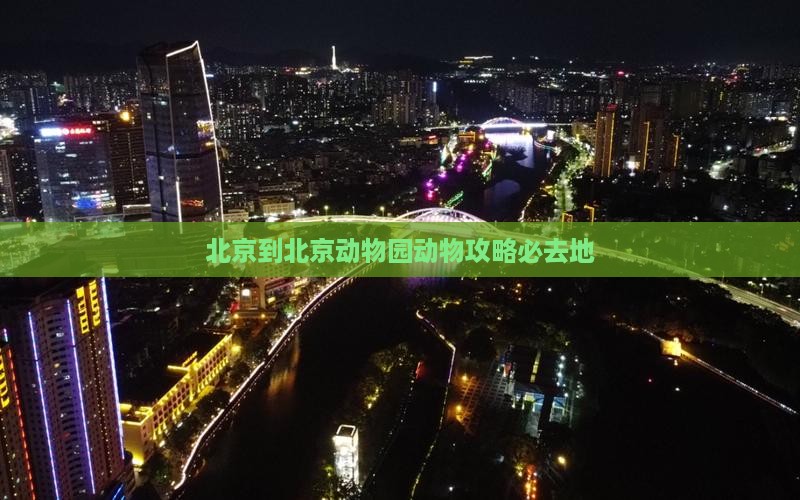 北京到北京动物园动物攻略必去地