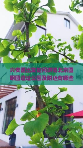 兴安盟出发如何游览北京圆明园遗址公园及附近有哪些值得一游的景点？