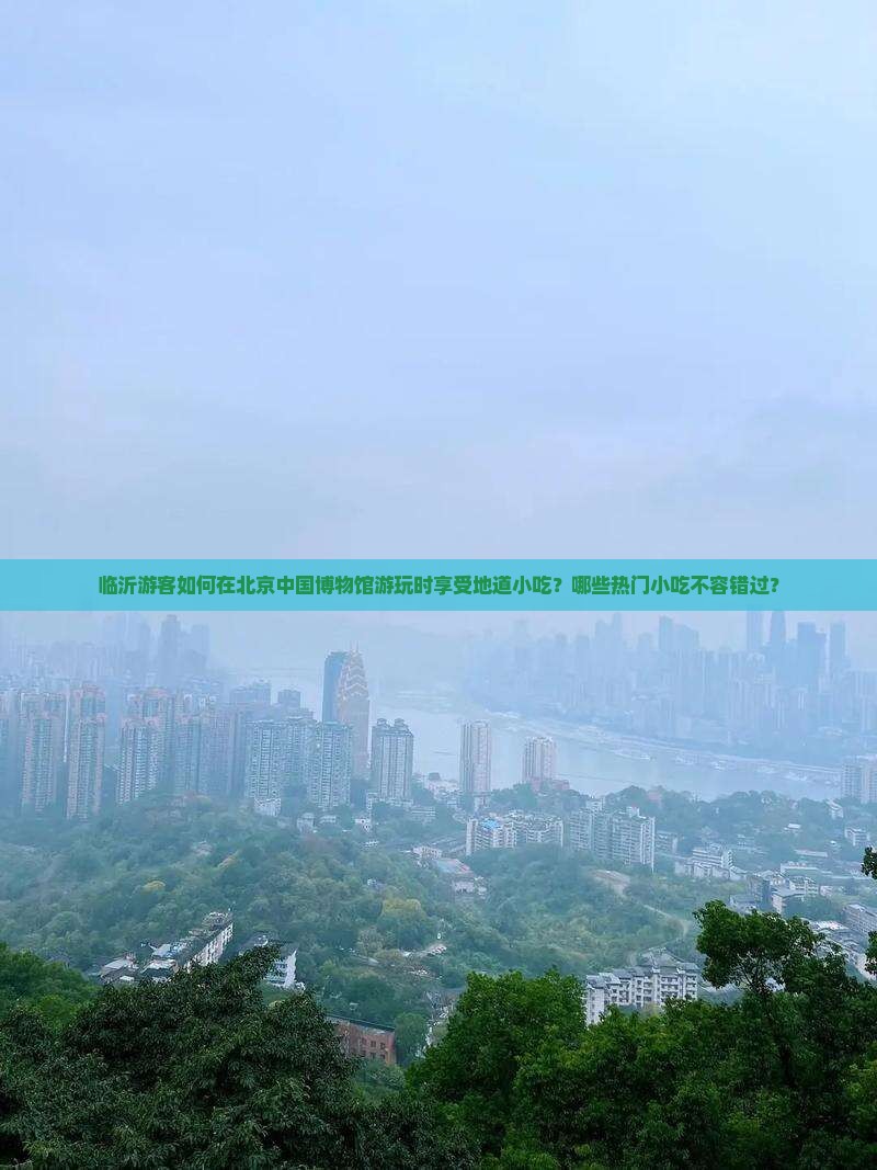 临沂游客如何在北京中国博物馆游玩时享受地道小吃？哪些热门小吃不容错过？