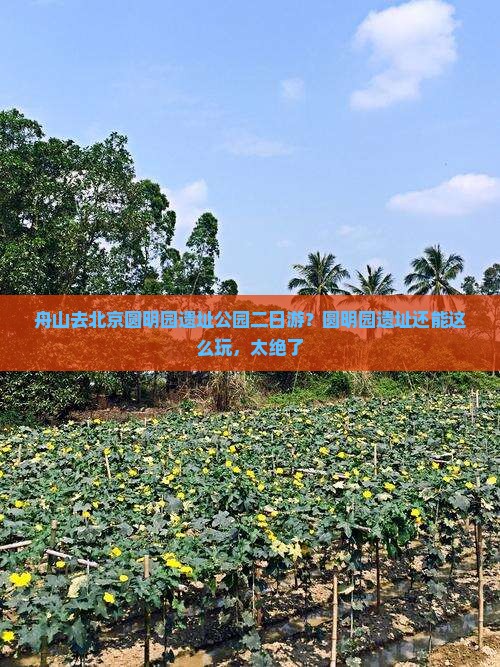舟山去北京圆明园遗址公园二日游？圆明园遗址还能这么玩，太绝了