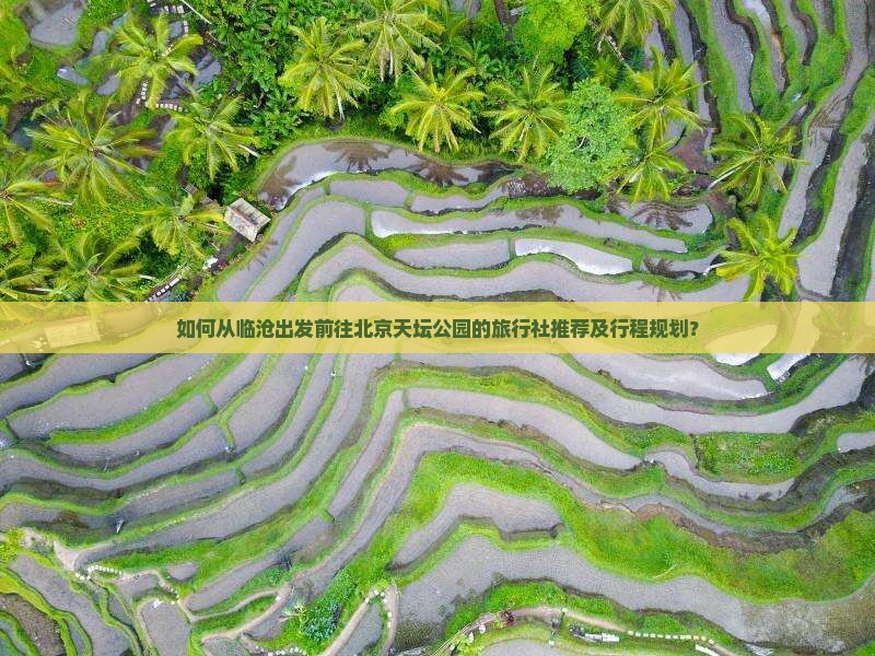 如何从临沧出发前往北京天坛公园的旅行社推荐及行程规划？