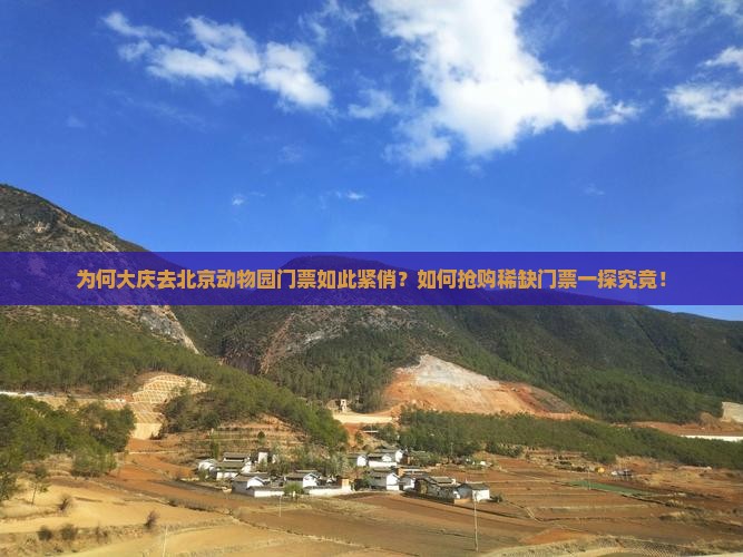 为何大庆去北京动物园门票如此紧俏？如何抢购稀缺门票一探究竟！