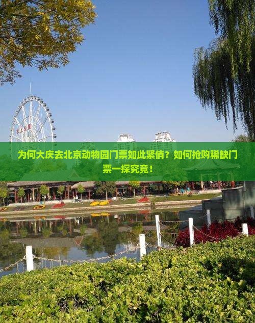 为何大庆去北京动物园门票如此紧俏？如何抢购稀缺门票一探究竟！