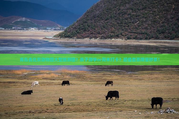 青岛去北京动物园大型旅游团？亲子游学or周末打卡？超值套票限量秒杀！