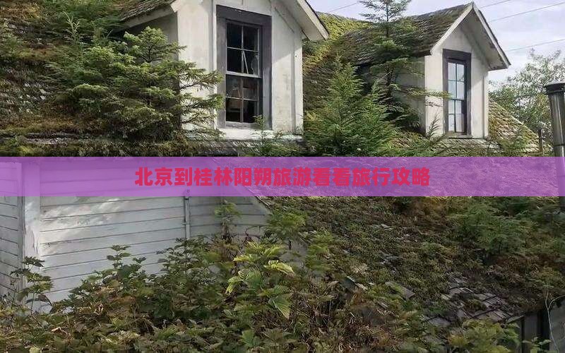 北京到桂林阳朔旅游看看旅行攻略