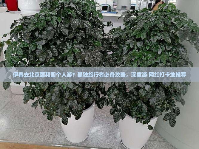 伊春去北京颐和园个人游？孤独旅行者必备攻略，深度游+网红打卡地推荐