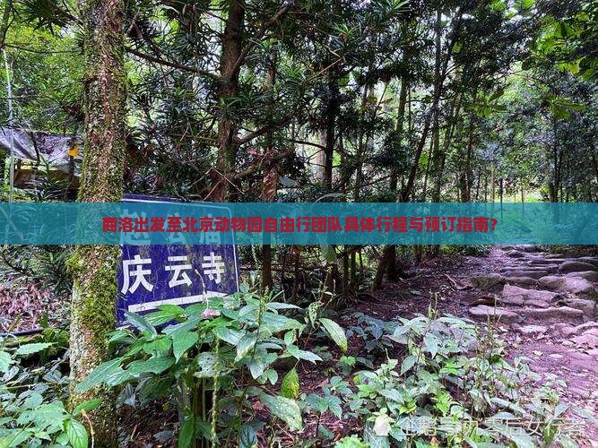 商洛出发至北京动物园自由行团队具体行程与预订指南？