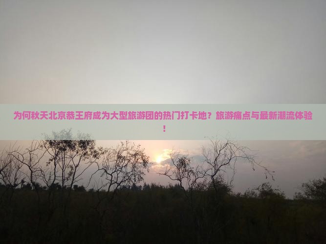 为何秋天北京恭王府成为大型旅游团的热门打卡地？旅游痛点与最新潮流体验！