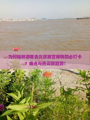 为何桂林游客去北京故宫博物院必打卡？痛点与热词新趋势！