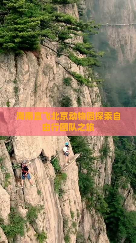 海南直飞北京动物园探索自由行团队之旅