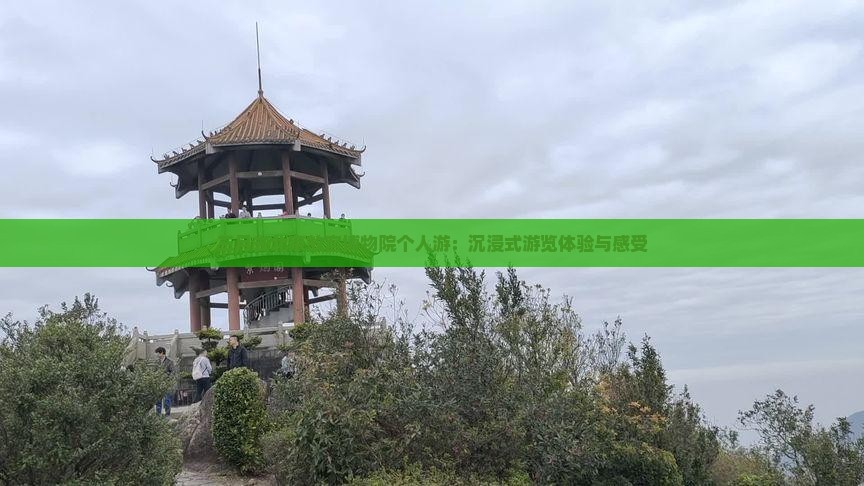 三月去北京故宫博物院个人游：沉浸式游览体验与感受