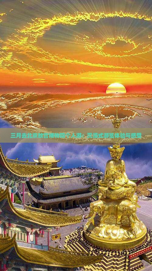 三月去北京故宫博物院个人游：沉浸式游览体验与感受