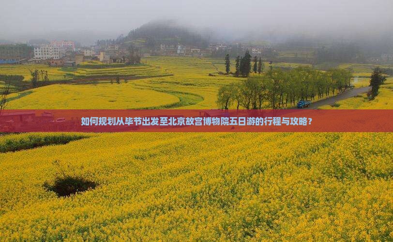 如何规划从毕节出发至北京故宫博物院五日游的行程与攻略？