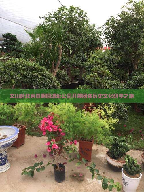 文山赴北京圆明园遗址公园开展团体历史文化研学之旅