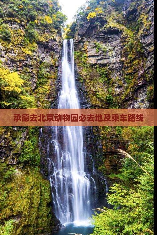 承德去北京动物园必去地及乘车路线 承德去北京动物园必去地及乘车路线