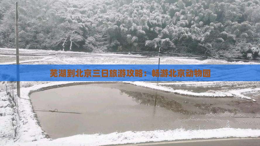 芜湖到北京三日旅游攻略：畅游北京动物园