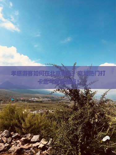 孝感游客如何在北京畅玩？京城热门打卡地与隐藏痛点！