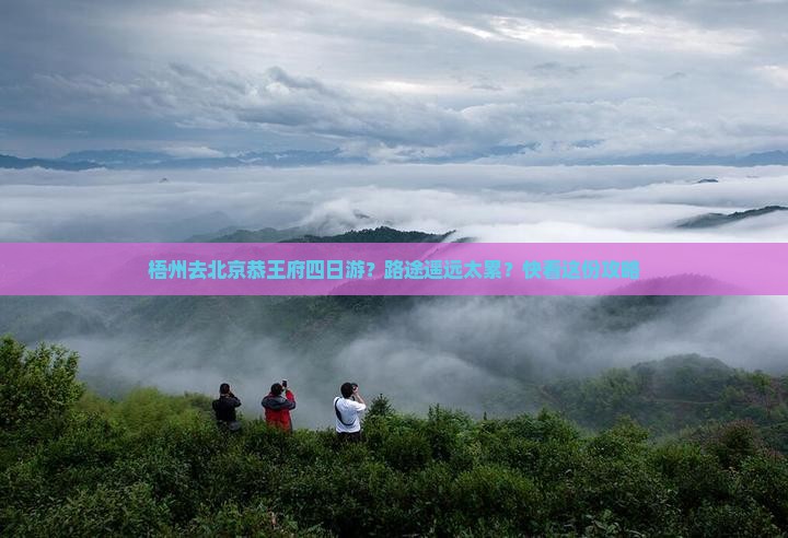 梧州去北京恭王府四日游？路途遥远太累？快看这份攻略