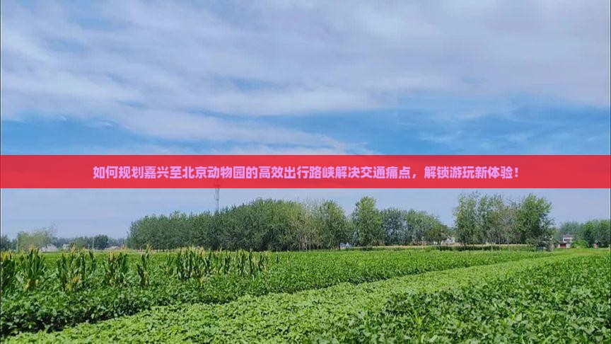 如何规划嘉兴至北京动物园的高效出行路峡解决交通痛点，解锁游玩新体验！