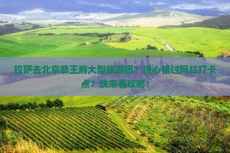 拉萨去北京恭王府大型旅游团？担心错过网红打卡点？快来看攻略！