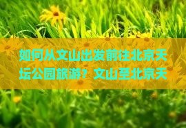 如何从文山出发前往北京天坛公园旅游？文山至北京天坛公园的交通方式有哪些？天坛公园游览攻略与门票信息介绍。