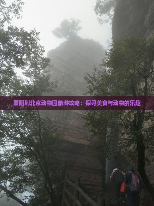 襄阳到北京动物园旅游攻略：探寻美食与动物的乐趣