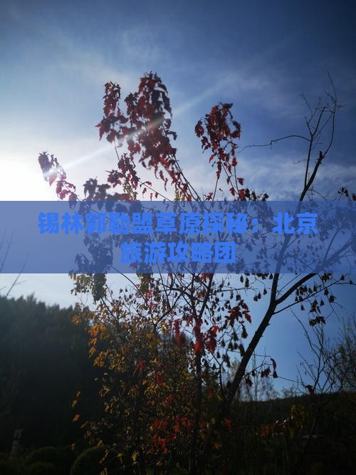 锡林郭勒盟草原探秘：北京旅游攻略团