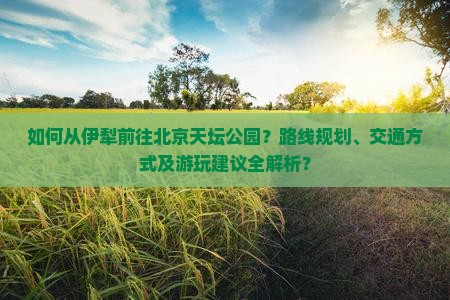 如何从伊犁前往北京天坛公园？路线规划、交通方式及游玩建议全解析？