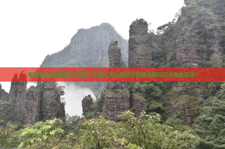 孝感去北京恭王府六日游？孝感人关心的旅行攻略与网红打卡地全在这！