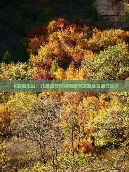 《聊城出发：北京故宫博物院旅游攻略及景点详解》