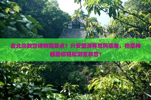 去北京故宫博物院景点？兴安盟游客愁购票难，抢票神器助你轻松游览故宫！