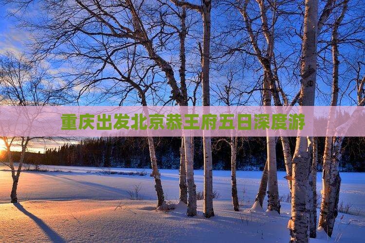 重庆出发北京恭王府五日深度游