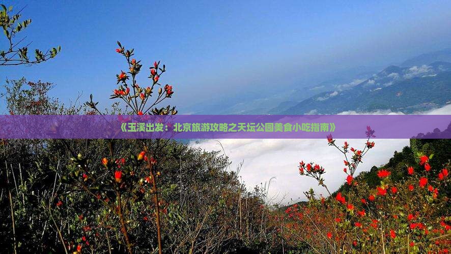 《玉溪出发：北京旅游攻略之天坛公园美食小吃指南》