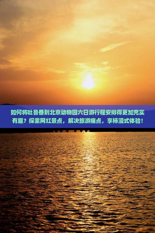 如何将吐鲁番到北京动物园六日游行程安排得更加充实有趣？探索网红景点，解决旅游痛点，享柿浸式体验！