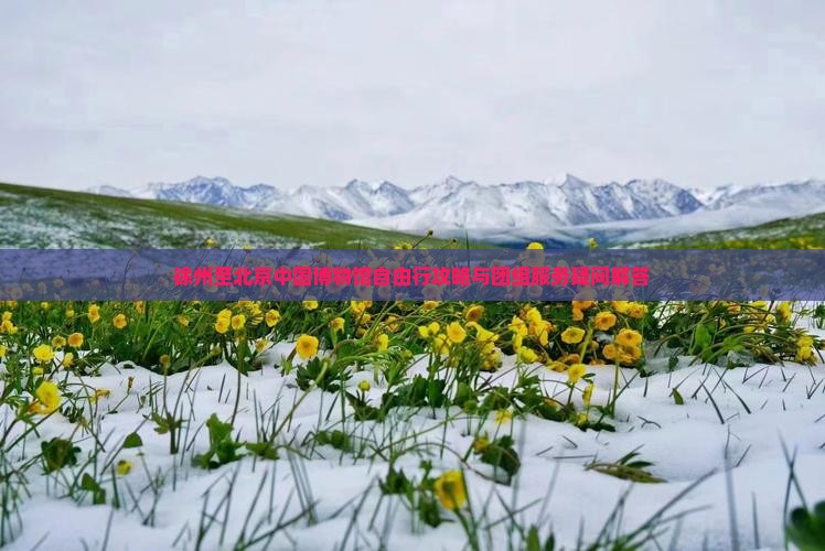 徐州至北京中国博物馆自由行攻略与团组服务疑问解答