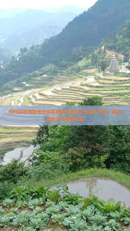 为何运城游客去北京慕田峪长城成了必去打卡地？其独特魅力与痛点对病