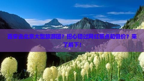 西安去北京大型旅游团？担心错过网红景点和低价？来了解下！