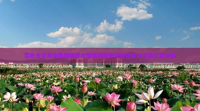百色去北京中国博物馆大型旅游团参观历史文化主题公益活动